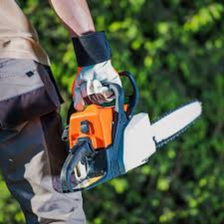 Motorlu Testere Seçerken Dikkat Edilmesi Gereken 10 Önemli Nokta